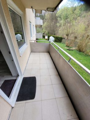 3 ZKDB mit Loggia im Grünen und doch Zentral - 20250425_172053